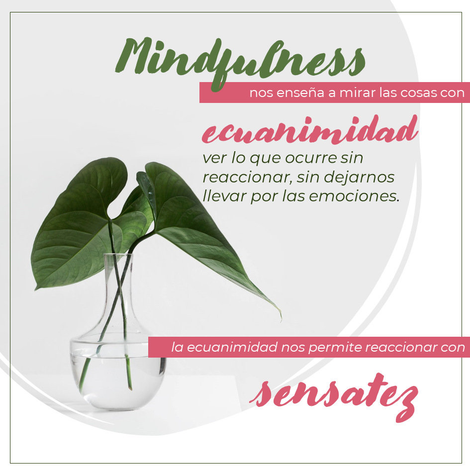 MINFULNESS como solucion al sufrimiento